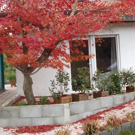 Haus Magnolia 2 Apartment Kandern Exterior foto