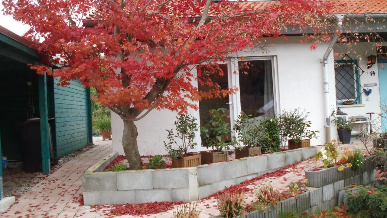 Haus Magnolia 2 Apartment Kandern Exterior foto
